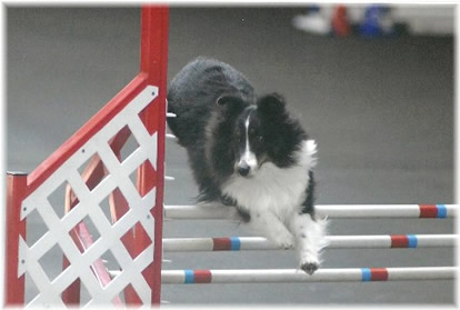 YvoireAgility